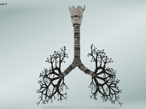 Bronchial Tree Model 3D