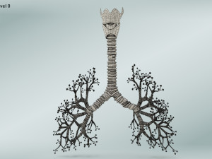 Bronchial Tree Model 3D