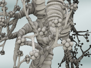 Bronchial Tree Model 3D