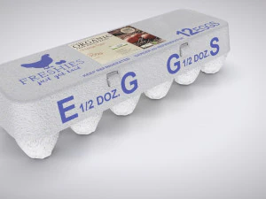 Pulp Eggs Container 3D Model