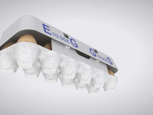 Pulp Eggs Container 3D Model