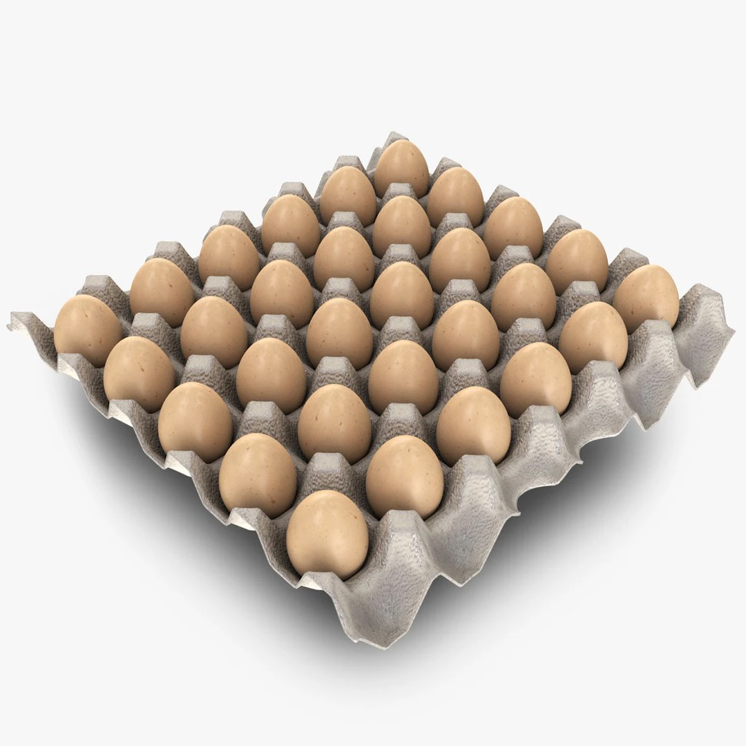 Pulp Egg Tray 30 Egges 3D Model .c4d .max .obj .3ds .fbx .stl .blend 