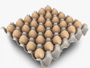पल्प एग ट्रे 30 अंडे 3D मॉडल