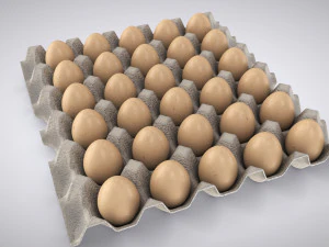 Pulp Egg Tray 30 Egges 3D Model