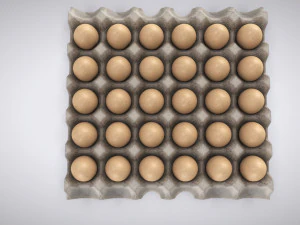Pulp Egg Tray 30 Egges 3D Model