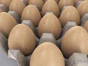 Pulp Egg Tray 30 Egges 3D Model