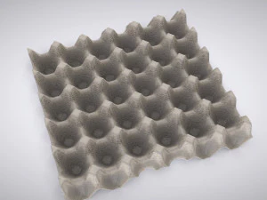 Pulp Egg Tray 30 Egges 3D Model