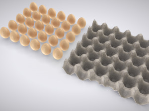 Pulp Egg Tray 30 Egges Modèle 3D