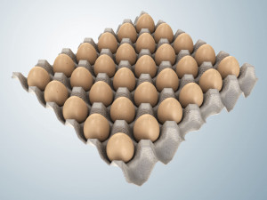 Pulp Egg Tray 30 Egges Modèle 3D