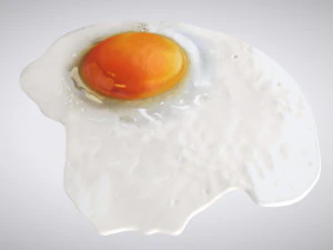 तला हुआ अंडा 3D मॉडल