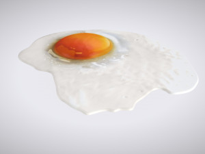 Fried Egg Modello 3D