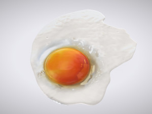Fried Egg Modello 3D
