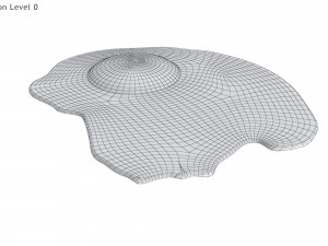 Fried Egg Modello 3D