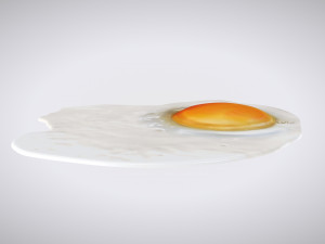 Fried Egg Modello 3D