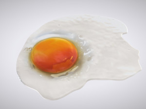 Fried Egg Modello 3D