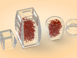 Crystal Bottle with saffron Modello 3D
