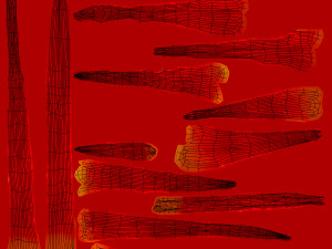 Crystal Bottle with saffron Modello 3D