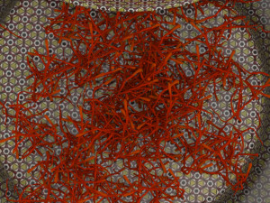 Persian Tin Can Modelo 3D