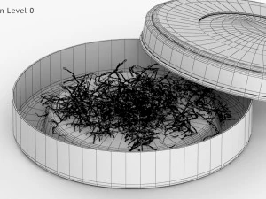 Persian Tin Can 3D Model