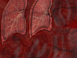 Anatomy of LUNGS 3D Model