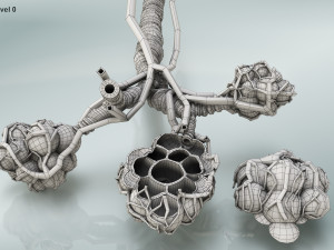 Anatomy of LUNGS 3D-Modell