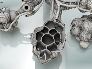 Anatomy of LUNGS 3D-Modell