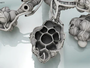 Anatomy of LUNGS 3D Model