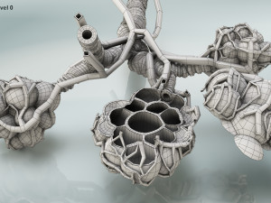 Alveoli - Cross-Section 3D Модель