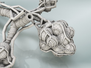 Alveoli - Cross-Section 3D Модель