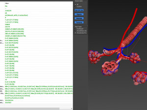 Alveoli - Cross-Section 3D Модель