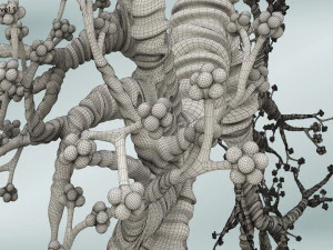 Lungs with bronchial tree 3D Model