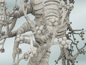 Lungs with bronchial tree 3D Model