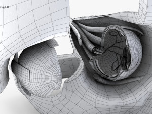 Eye With Anatomical Cross-Section 3D मॉडल