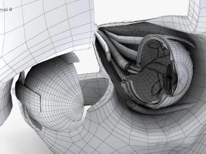 Eye With Anatomical Cross-Section 3D Model