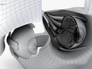 Eye With Anatomical Cross-Section 3D Model