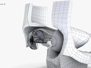 Eye With Anatomical Cross-Section 3D Model