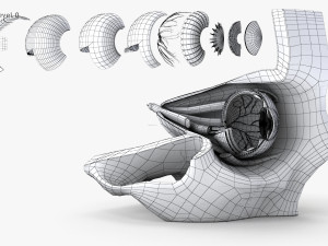 Eye With Anatomical Cross-Section 3D मॉडल