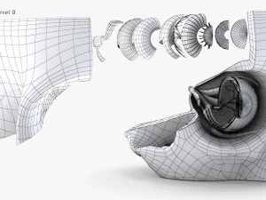 Eye With Anatomical Cross-Section 3D Model