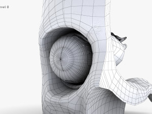 Eye With Anatomical Cross-Section 3D मॉडल
