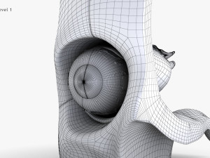 Eye With Anatomical Cross-Section 3D मॉडल