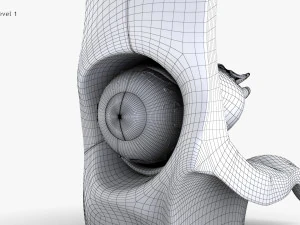 Eye With Anatomical Cross-Section 3D Model