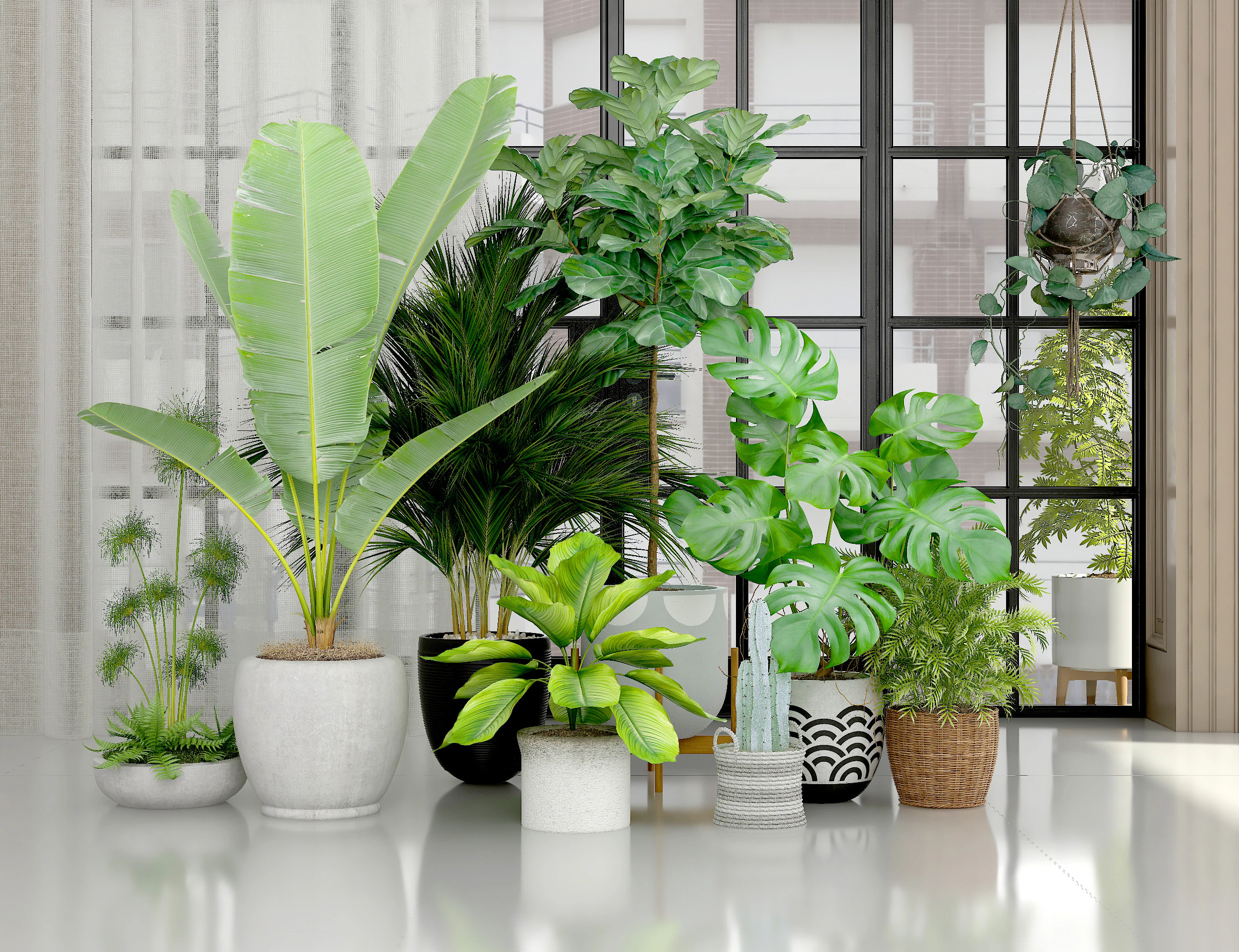 Potted plants 01 3D Model .c4d .max .obj .3ds .fbx .stl .blend 