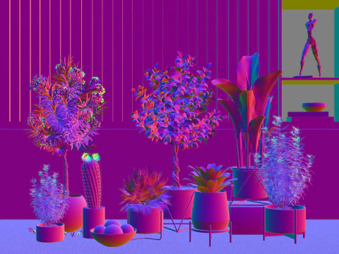 Potted plants 02 3D Model
