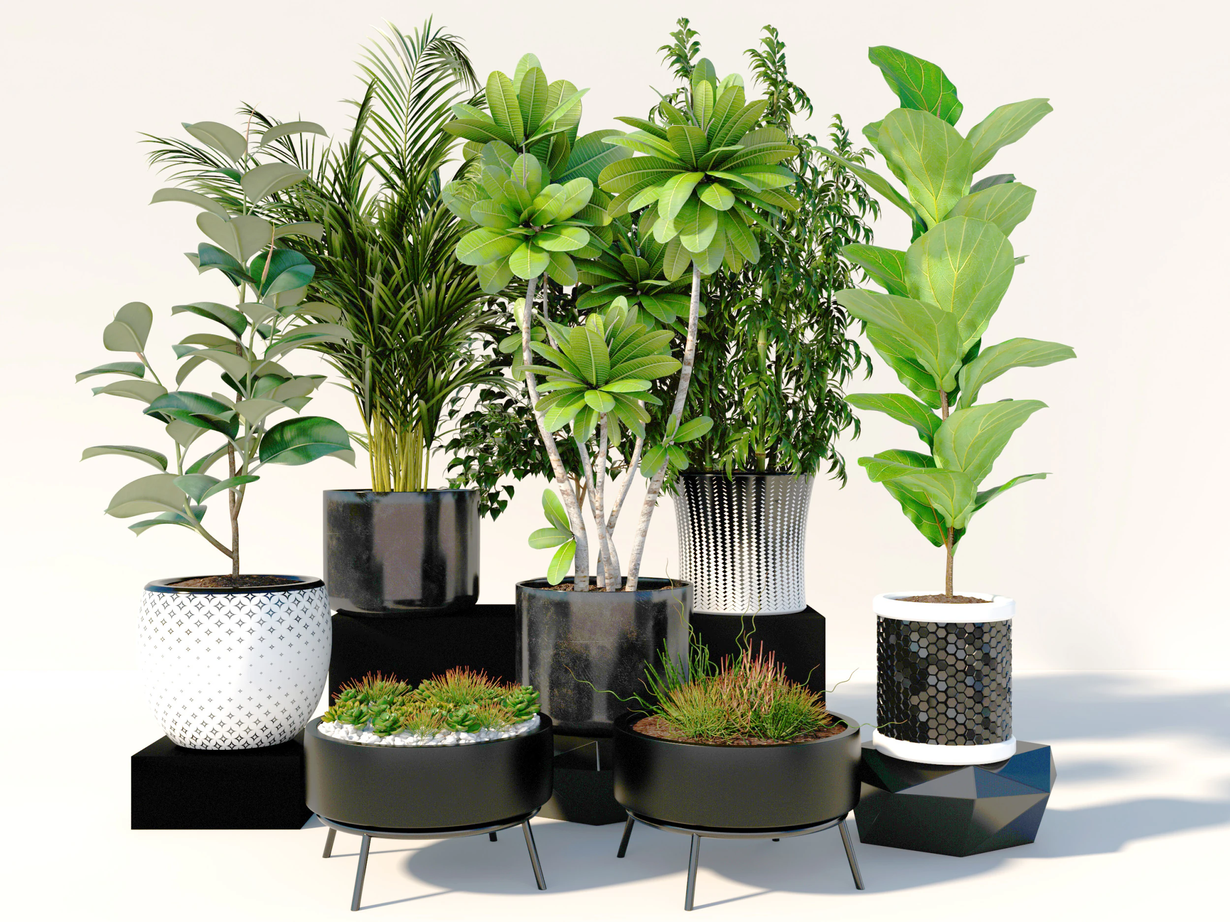 Potted plants 03 3D Model .c4d .max .obj .3ds .fbx .stl .blend 