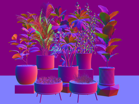 Potted plants 03 3D Model