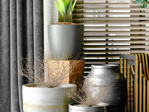 Potted plants 05 3D Model