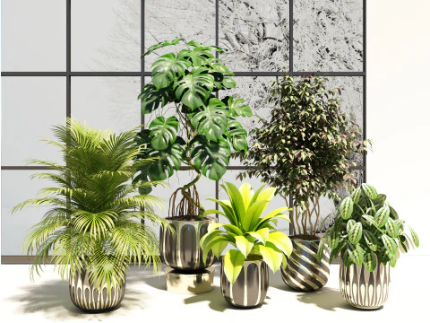 Plantas en maceta 06 Modelo 3D