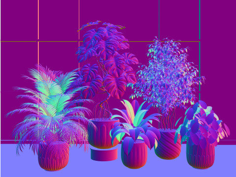 Potted plants 06 3D Model
