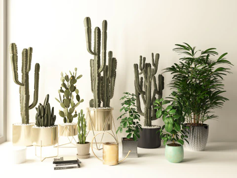 鉢植え09 3Dモデル