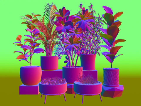 Potted plants 10 3D Model